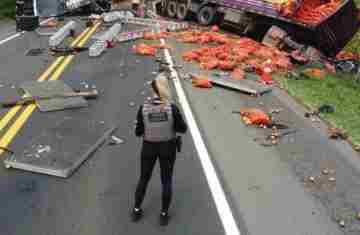  Perícia criminal é fundamental para esclarecer ocorrências de trânsito; veja como funciona